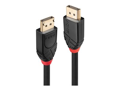 DisplayPort cable - DisplayPort to DisplayPort - 1