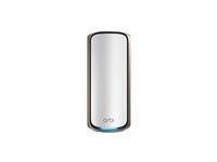 Netgear Wireless / Rseau sans fil RBE970-100EUS