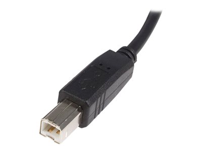 Cable USB - USBEXTAA10BK STARTECH, Negro