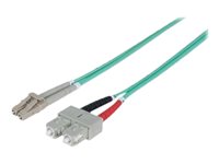 TECHly Professional Netværkskabel Fiberoptik OM3 3m