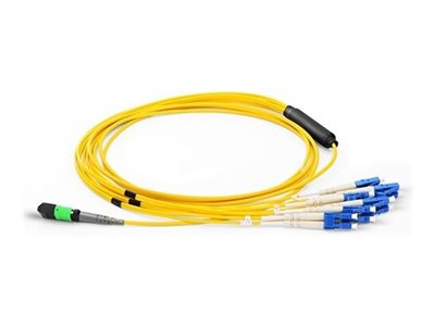 Axiom - Breakout cable