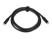Lenovo - Câble USB - USB-C (M) pour USB-C (M) - 20 V 