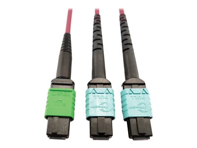 Eaton Tripp Lite Series 400G Multimode 50/125 OM4 Plenum Fiber Optic Cable, 16F MTP/MPO-APC to (x2) 12F MTP/MPO-UPC (F/F), Magenta, 5 m