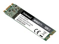 Intenso SSD 120GB M.2 SATA-600