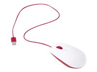 Raspberry Pi Optisk Kabling Rød Hvid