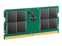 Transcend JetRAM - DDR5 - module - 48 Go 