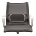 FELLOWES i-spire coussin lombaire