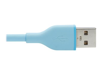 EATON TRIPPLITE USB-A o Lightning