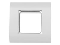 Digitus Udgangsramme