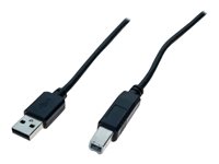 MCAD Cbles et connectiques/Liaison USB & Firewire ECF-532449
