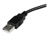 StarTech .com Câble Adaptateur de 1.80m USB vers 1 Port Parallèle DB25 pour Imprimante