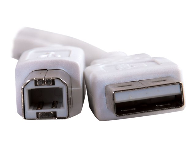 C2G 6.6ft USB to USB B Cable - USB A to USB B - USB 2.0 - White - M/M - kabel USB - USB do USB typ B - 2 m – foto 3