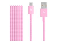Beats - USB-C cable - USB to USB-C - 1.5 m