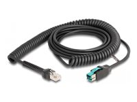 DeLOCK 8 pin USB PlusPower (male) - RJ-50 (male) Sort 3m USB Type-C kabel