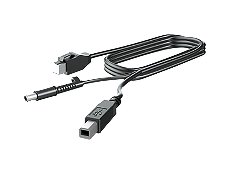 HP 300cm DP+Y CABLE L701xt