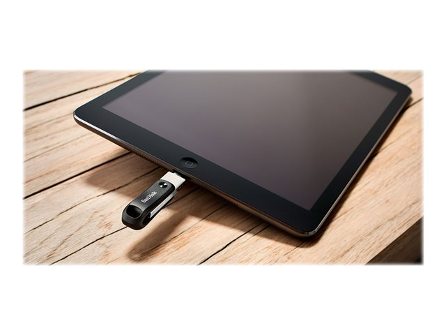 SANDISK iXpand Flash Drive Go 256GB SDIX60N-256G-GN6NE