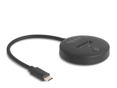 DELOCK M.2 Dockingstation fur M.2 NVMe Komponenten Zubehör
