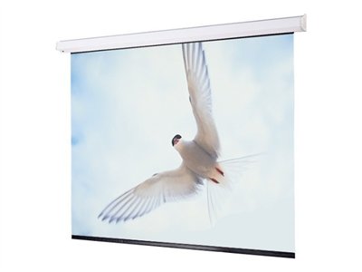 Draper Targa - Projection screen