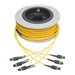 Eaton Tripp Lite Series MTP/MPO (APC) Singlemode Slim Trunk Cable, 24-Strand, 40/100 GbE, 40/100GBASE-PLR4, Plenum, 6mm Dual Jacket, 23 m (75 ft.)