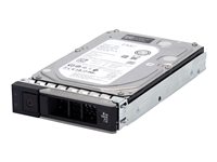 Axis Hard drive 8 TB Enterprise internal 3.5INCH SATA 6Gb/s 7200 rpm 