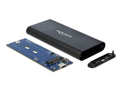 DELOCK Gehäuse für M.2 NVMe PCIe SSD SuperSpeed USB 10Gbps