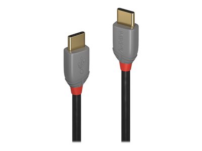LINDY 2m USB 3.1 Typ C Kabel Anthra