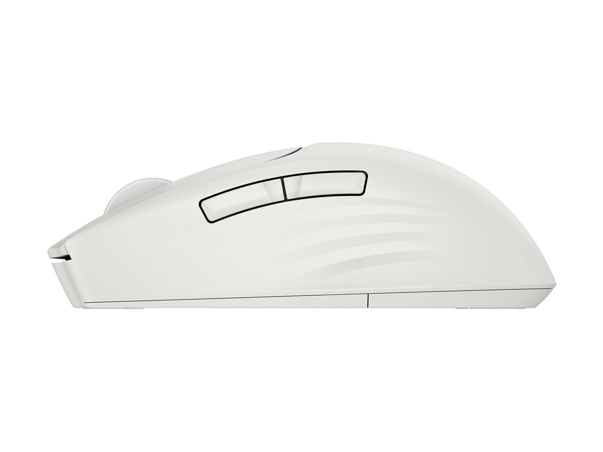 HP Klávesnice a myš – foto 3