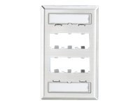 Panduit MINI-COM Stainless Steel Faceplate