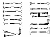 Lenovo storage cable kit