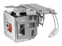 Benq Lampe vidoprojecteur 5J.JG705.A01