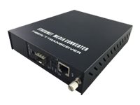 LevelOne GVM-1000 Fibermedieomformer Ethernet Fast Ethernet