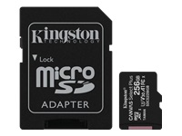 Kingston Canvas Select Plus SDCS2/256GB
