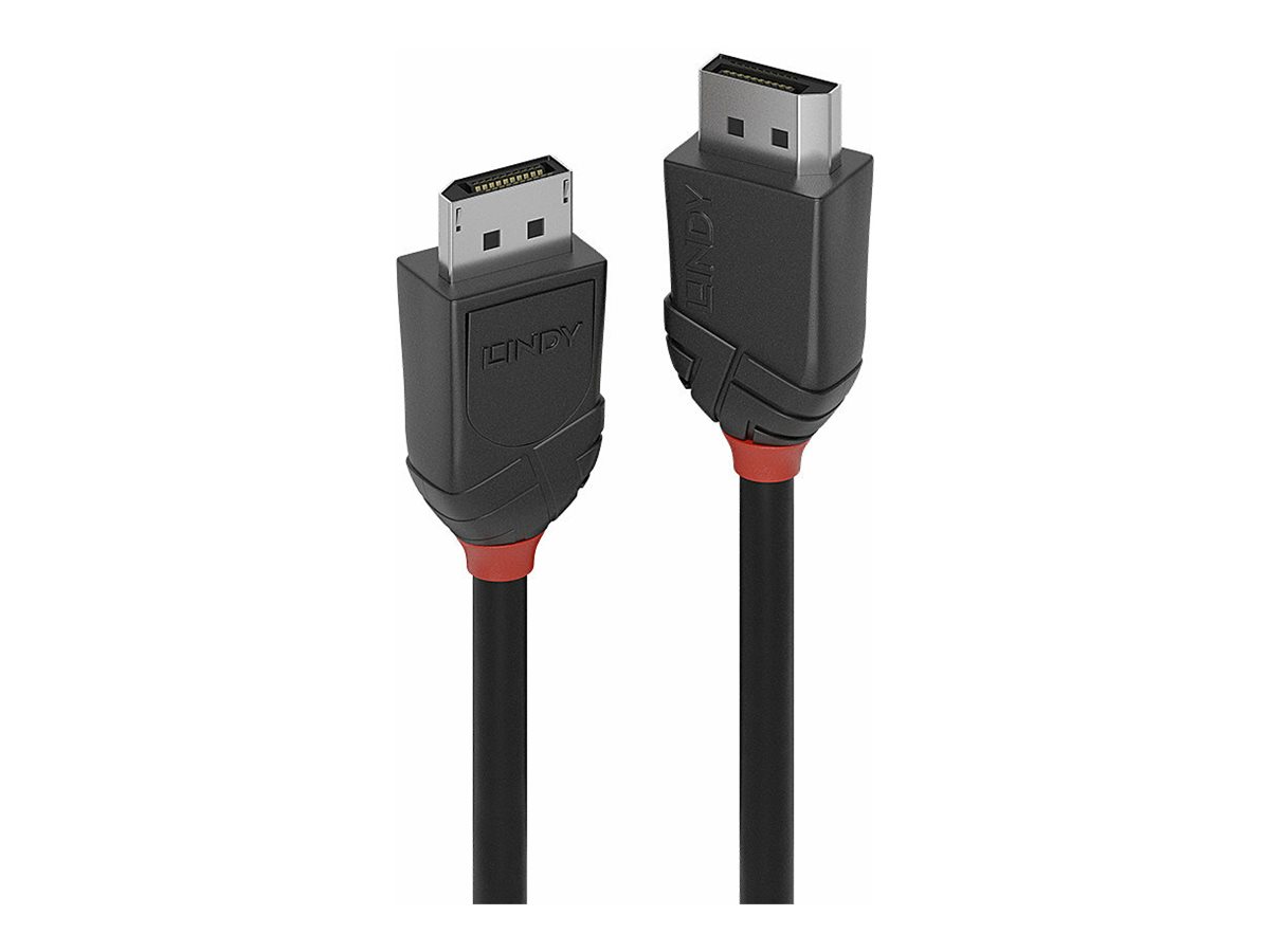 C ble DisplayPort 1.2, Black Line, 2m