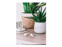MAJORITY TRU BIO EARBUDS CLEAR WHITE – Majority