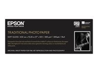 Epson Papier grand Format C13S045054