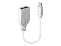 LINDY Câble adaptateur Mini DP M vers
