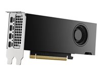 NVIDIA RTX - graphics card - NVIDIA RTX 2000 Ada - 16 GB