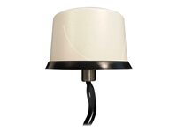 Cisco Produits Cisco 4G-LTE-ANTM-O-3-W