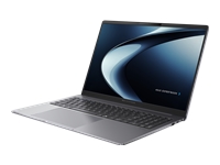 ASUS ExpertBook P3 PM3606CKA-P732512-CA