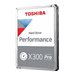 Toshiba X300 Pro Performance