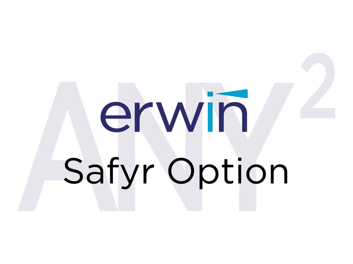 erwin Safyr Option for Oracle eBusiness Suite