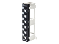 Eaton Tripp Lite Series 12-Port Wall-Mount Patch Panel for UTP Keystone Jacks, Offset Ports, TAA