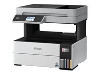 Epson Multifonction Jet d'encre C11CJ89402