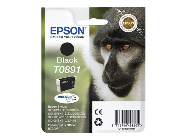 Epson T0891 černá – foto 2