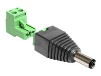 DeLOCK 2 pins terminalblok (male) - Strøm DC jackstik 5,5 mm (ID: 2,5 mm) (male) Strømforsyningsadapter