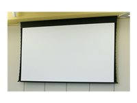 Draper Access/Series V Electric Projection screen in-ceiling mountable motorized 110 V 