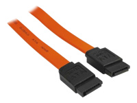 MCAD Cbles et connectiques/Cables et connectique tlphon ECF-314013