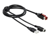 DeLOCK 8 pin USB PlusPower (24 V) (male) - 4 pin USB Type A 3 pin Power mini-DIN (male) Sort 5m Forstærket USB kabel