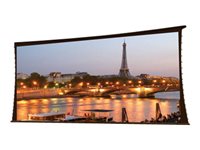Draper Paragon/Series V HDTV Format Projection screen ceiling mountable motorized 110 V 