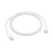 Apple USB-C Charge Cable